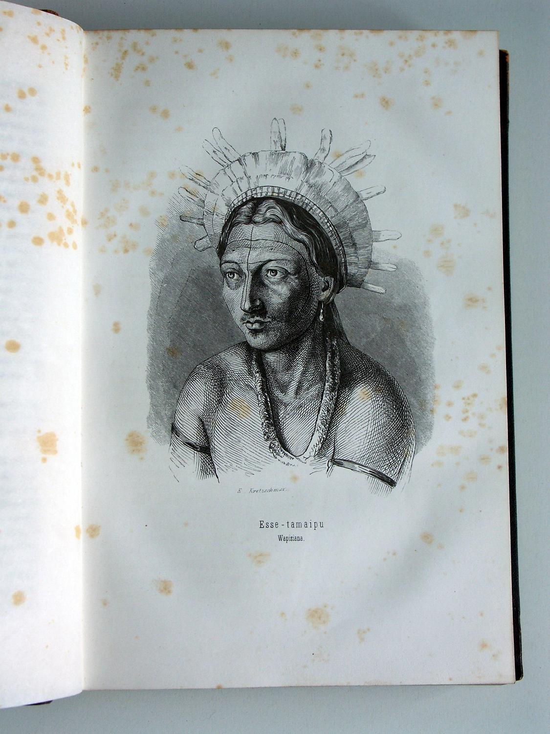 ZZ-RISC48,S.042b Bild Wapisiana mit Kopf-Krone